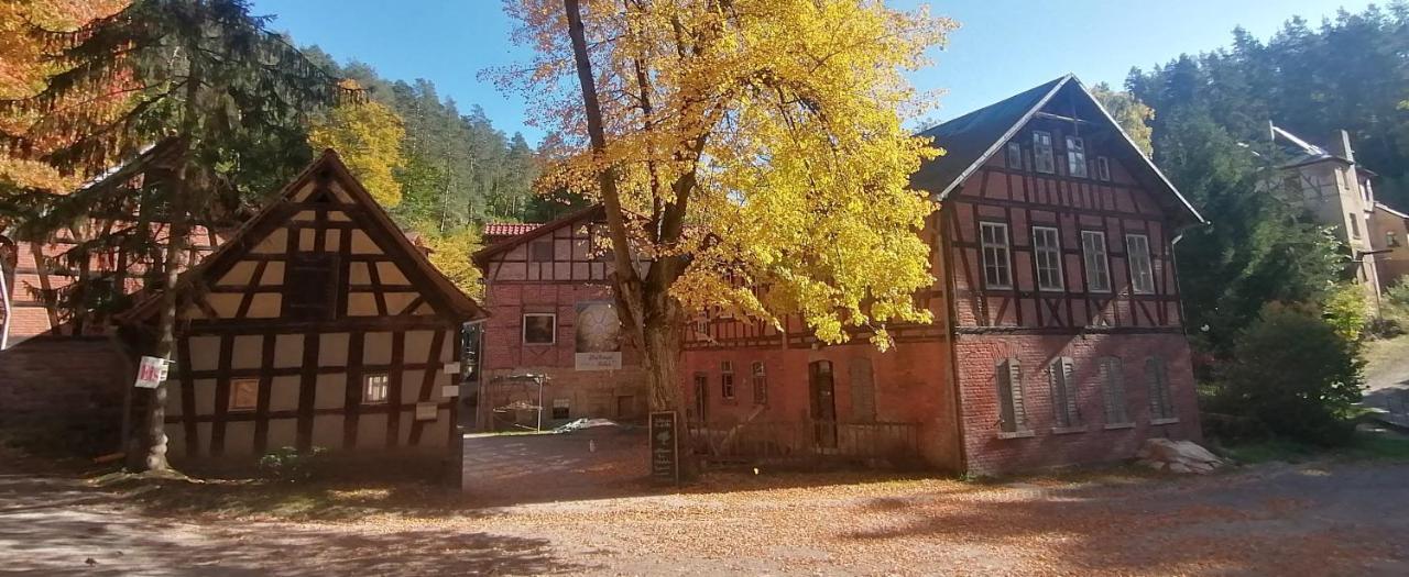Naturhof-Papiermuehle 2 Bett-Zimmer Rosenrot Bollberg Exterior foto